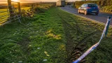 64 sheep stolen near Indian Queens in Cornwall — police appeal for witnesses