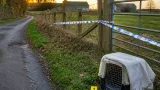 Aberdeenshire police probe after cat found badly injured in suspected snare incident