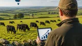 Angus still dominant as NSW breeding herd expands — what it means for local farmers