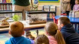 Animal visits return to Sefton libraries with snakes, spiders and meerkat memories