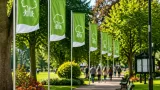 Barking and Dagenham: Seven parks awarded Green Flag status in borough-wide success