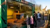 Blackpool Zoo gives long‑term home to rescued tortoises in bespoke container habitat
