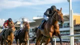 Blue Bolt secures seventh career win with Prix Rothschild success at Deauville