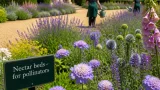 Buckinghamshire hotel introduces nectar-rich planting to help bumblebees through heatwaves