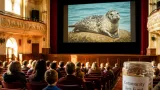 Camden: Free screening of Andre, The Seal Who Came Home at the Opera House