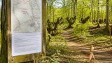 Campaigners alarmed as Kent council lists ancient Oaken Wood for possible quarry expansion