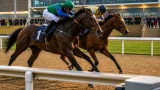 Carnival Of Light narrowly wins Fillies' Handicap at Wolverhampton All-Weather