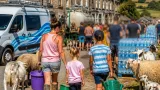 Ceredigion communities face sixth day without water during heatwave