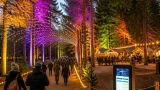 Christmas at Bedgebury returns with expanded lights trail and timed tickets on sale