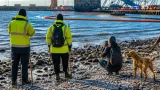 Council urges public to report nurdles after vessel collision spills pellets on South Tyneside shore