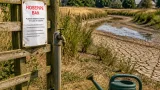 Drought declared across Norfolk as county faces ‘flash drought’ and hosepipe bans