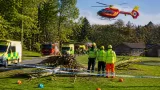 Eighteen injured as tree falls at PGL Marchants Hill in Hindhead