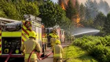 Firefighters responding to reported large woodland blaze in Hampshire