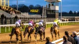 Go Rimbaud holds on in tight finish at Wolverhampton meeting