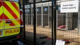 Incidents from 'dangerous dogs' more than double in five years, police tell council