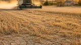 Jeremy Clarkson marks early harvest at Cotswolds farm as drought warnings bite