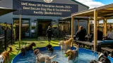 Kempston dog play centre wins national award less than a year after opening