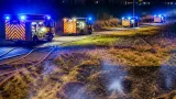 Large Waverley grass fire brought under control after night-time response