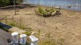 Lewes council monitors Pells Lake as low water and heatwave strain wildlife