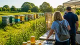 Milton Keynes apiary forecasts 30% jump in honey harvest after strong nectar season
