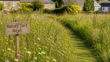 Monmouthshire council revives 'Nature Isn’t Neat' grass-cutting drive to support wildlife