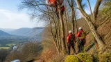 Paraglider plucked from 25m-high trees in complex Llangollen rescue