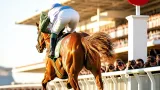 Pershaada’s Goodwood win puts filly on track for Nunthorpe tilt