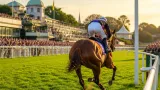 Pershaada’s Goodwood win raises prospect of Nunthorpe bid