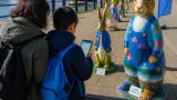 Peter Rabbit art trail hops into North Tyneside and Newcastle to raise funds for hospice