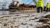 Plastic pellets wash ashore at Littlehaven after crane collapse at South Shields dock
