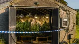 Police seize 1,500 cannabis plants in one of Wiltshire’s biggest drug farms
