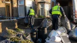 Police uncover 113-plant cannabis farm in Bolton raid on Astley Bridge property