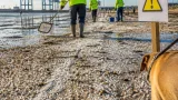 Round‑the‑clock clean-up under way after Port of Tyne collision leaves nurdles on local beaches