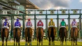 Seven fillies set to contest Nottingham's 15:10 novice stakes on Good To Firm ground