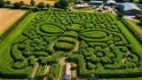 Six-acre bee-shaped Mega Maze returns to Cupar’s Cairnie Fruit Farm