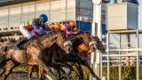 So Sassy takes the spoils in Wolverhampton fillies' handicap as Eazy On The Eye runs close