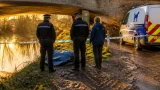 Solihull investigation after Rottweiler found stabbed and dumped beneath bridge