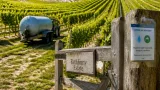 Sussex vineyard thrives despite weeks of dry weather as county faces drought threat