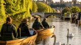 Swan Upping returns with stronger cygnet counts despite winter avian flu losses