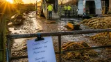 Uttoxeter farmer given suspended sentence and 10-year animal ban after cattle found in poor condition