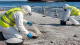 Volunteers press Port of Tyne after tonnes of plastic pellets wash up on north‑east beaches