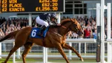 Wolverhampton: Star Of Commala shocks under long odds in 7f maiden fillies