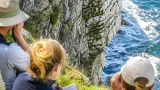 Young puffin seen on Purbeck cliffs — first fledgling on Dorset coast in 30 years