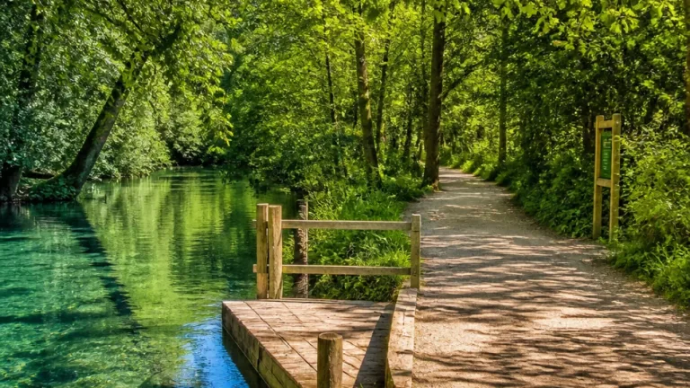 Cambridge beauty spot Byron’s Pool offers clear waters, easy paths and a poet’s legacy