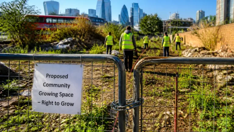 City Hall pressed to adopt London‑wide ‘right to grow’ as allotment demand soars