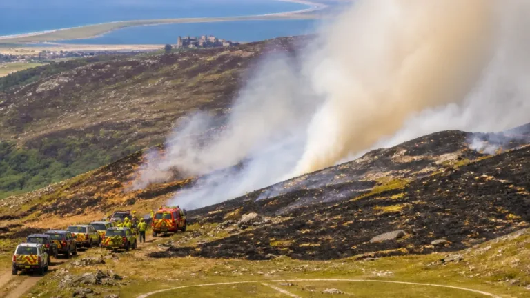 Fire crews battle 'challenging' wildfire across 2,000 acres in Rhinogydd near Harlech