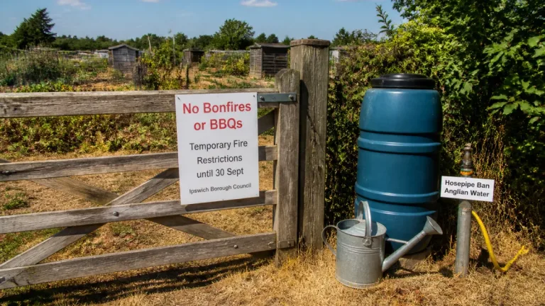 Ipswich allotments face bonfire and BBQ ban as dry spell triggers fire risk rules