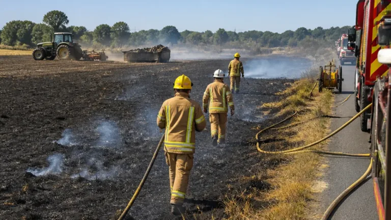 Large grass blaze near Newton Road contained after multi‑crew response