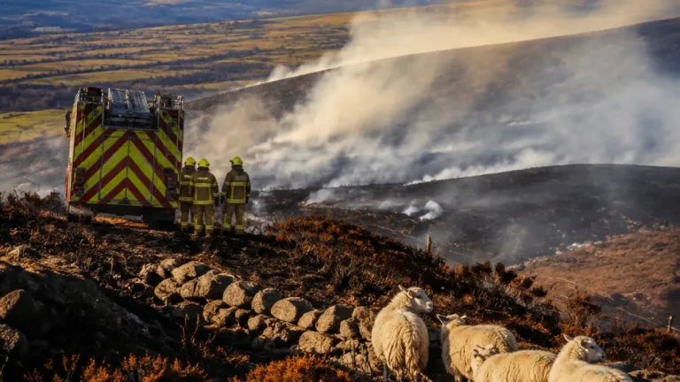 Major wildfire on Blaenavon hills burns more than 200 hectares and may smoulder for days