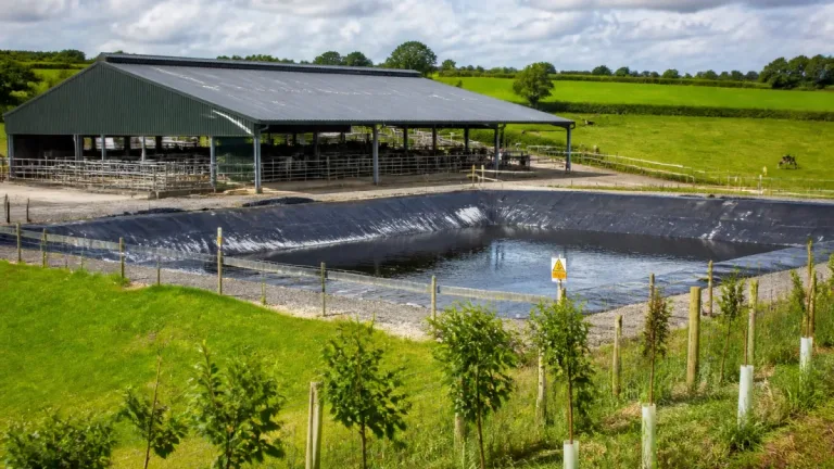 Retrospective approval granted for major slurry lagoon and cattle housing at Llawhaden farm